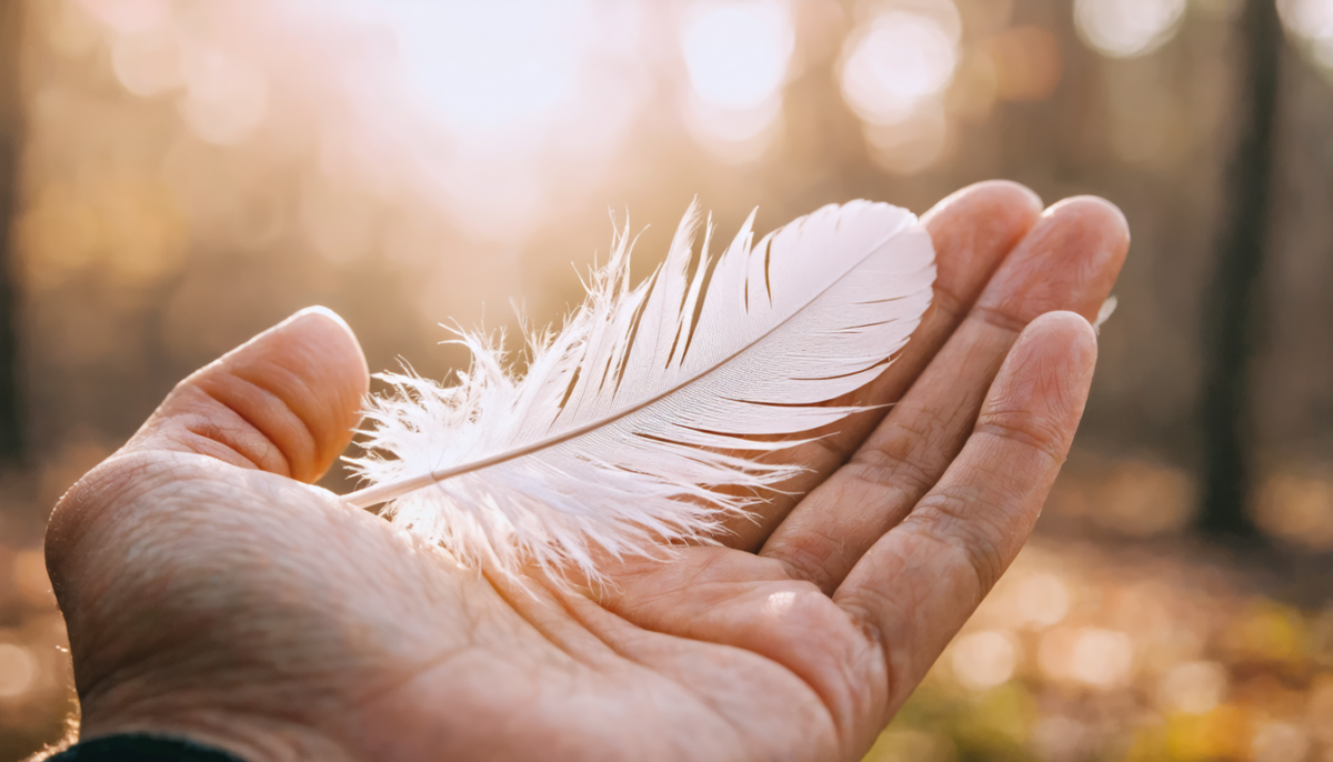 découvrez la signification profonde des plumes blanches et grises en amour, leur symbolique et ce qu'elles révèlent sur vos sentiments et relations.